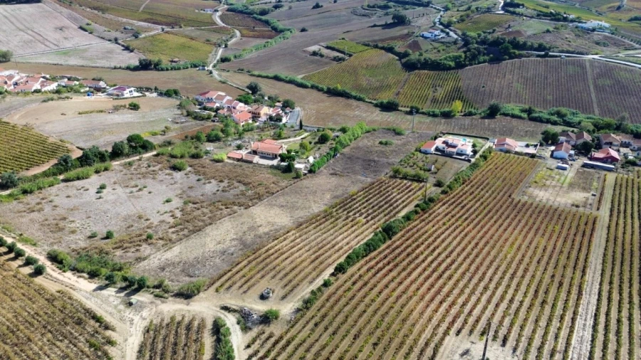 Terreno para Venda em Carvoeira e Carmões Foto 13