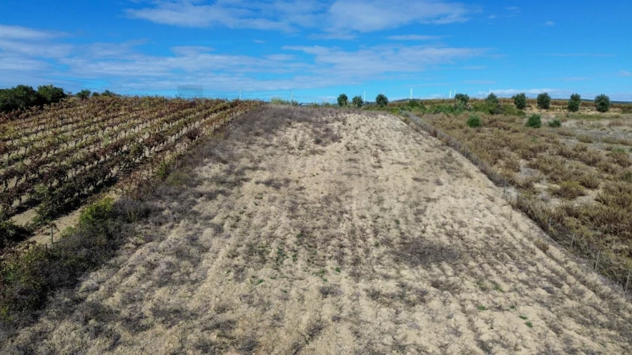 Terreno para Venda em Carvoeira e Carmões Foto 16