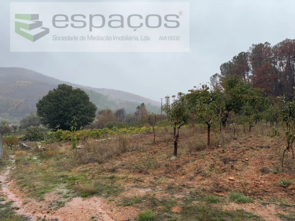 Quinta para Venda em Paul Foto 9