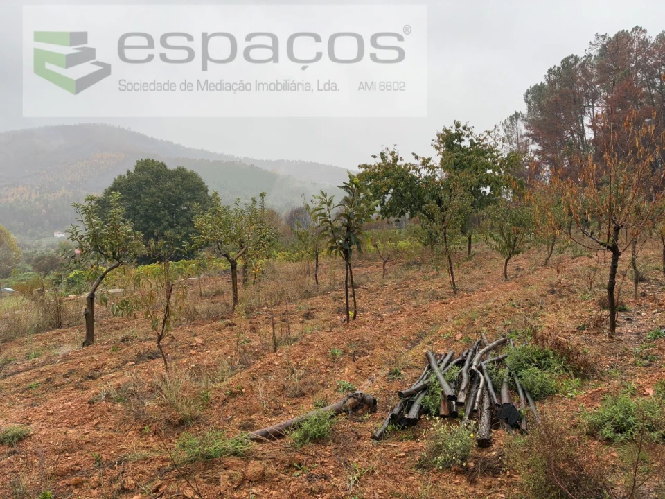 Quinta para Venda em Paul Foto 10