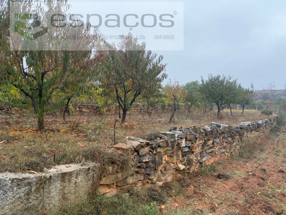 Quinta para Venda em Paul Foto 17