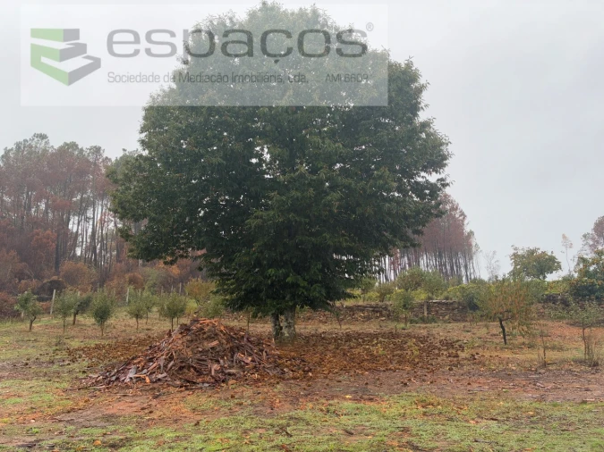 Quinta para Venda em Paul Foto 2