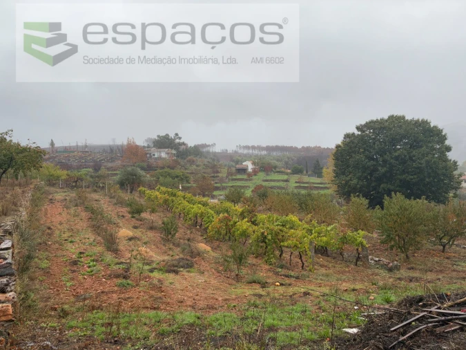 Quinta para Venda em Paul Foto 13