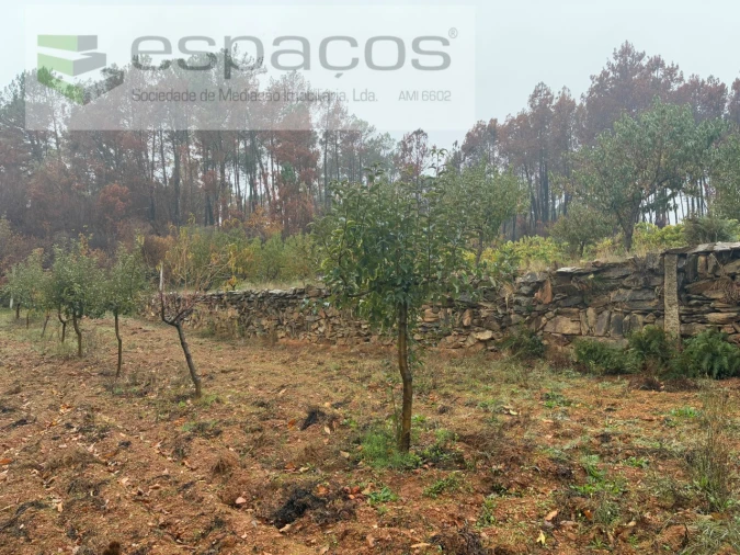 Quinta para Venda em Paul Foto 20