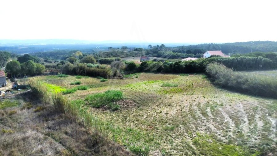 Terreno para Venda em Caldas da Rainha - Santo Onofre e Serra do Bouro Foto 16