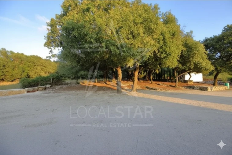 Moradia T3 para Venda em Turquel Foto 14