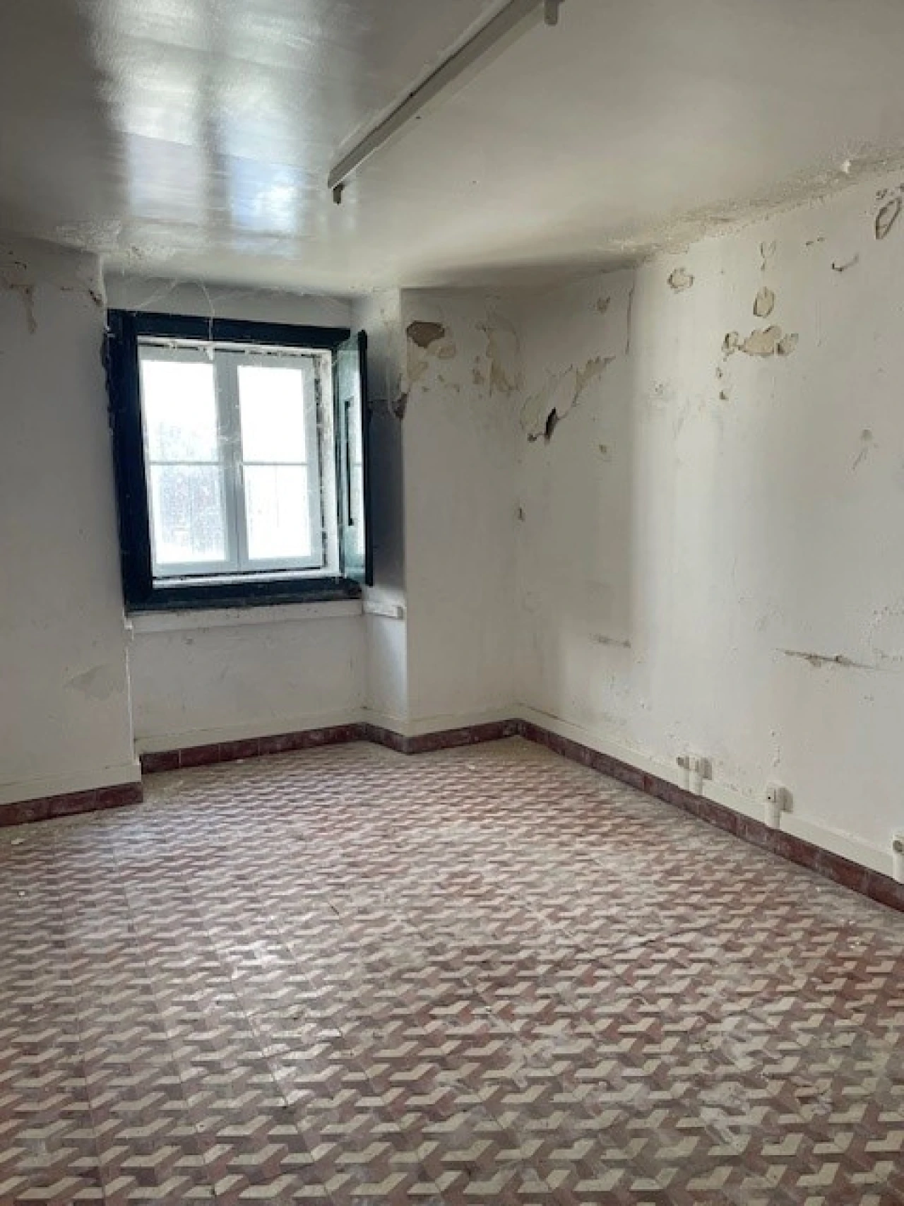 Moradia para Venda em Avis Foto 13