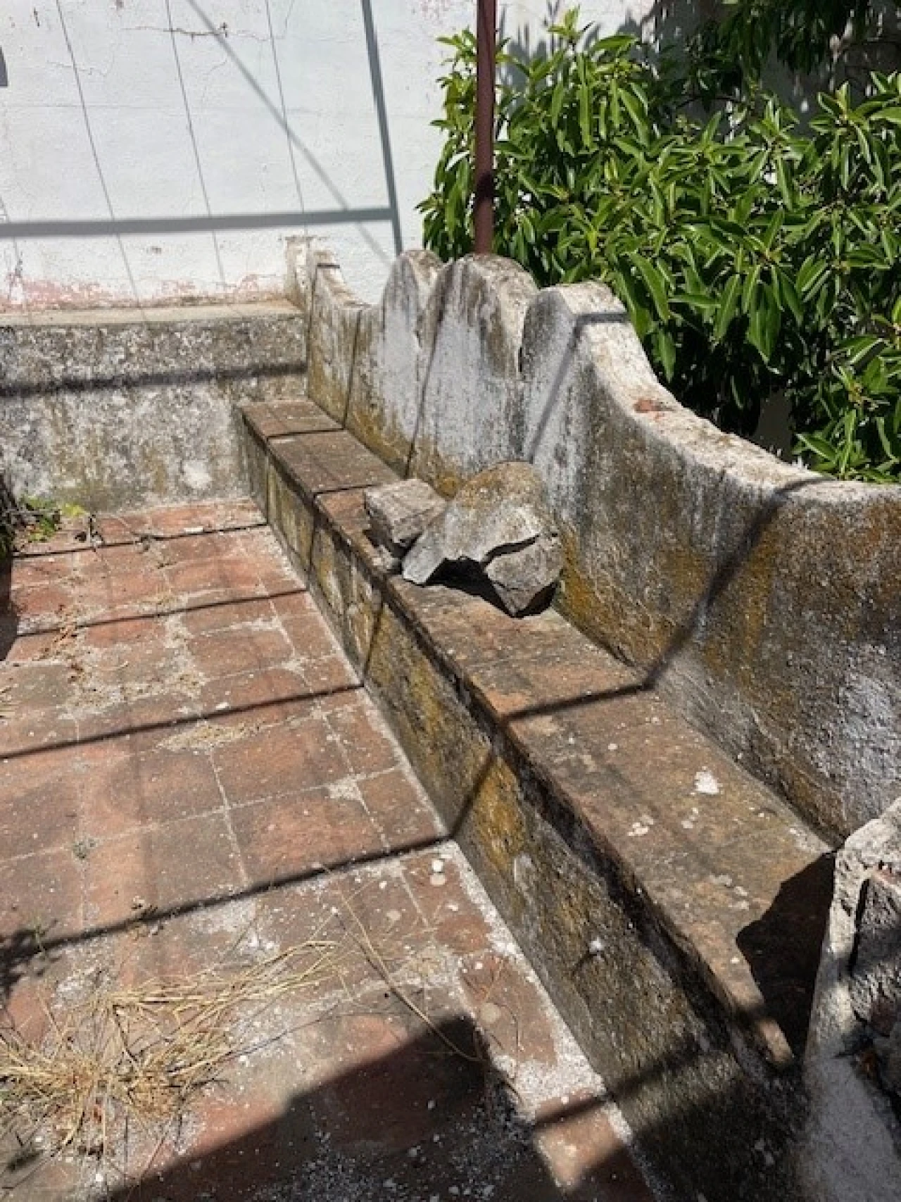 Moradia para Venda em Avis Foto 20