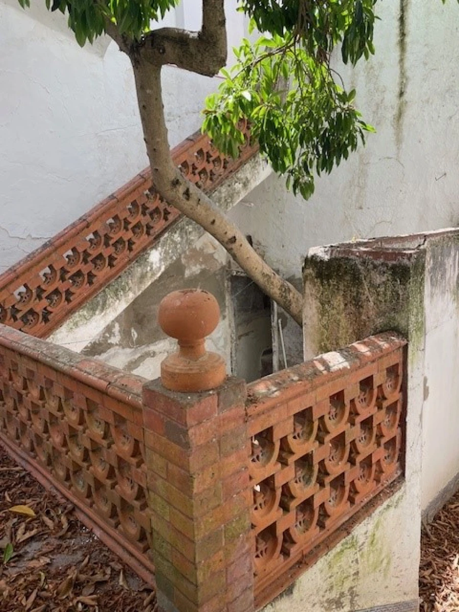 Moradia para Venda em Avis Foto 15