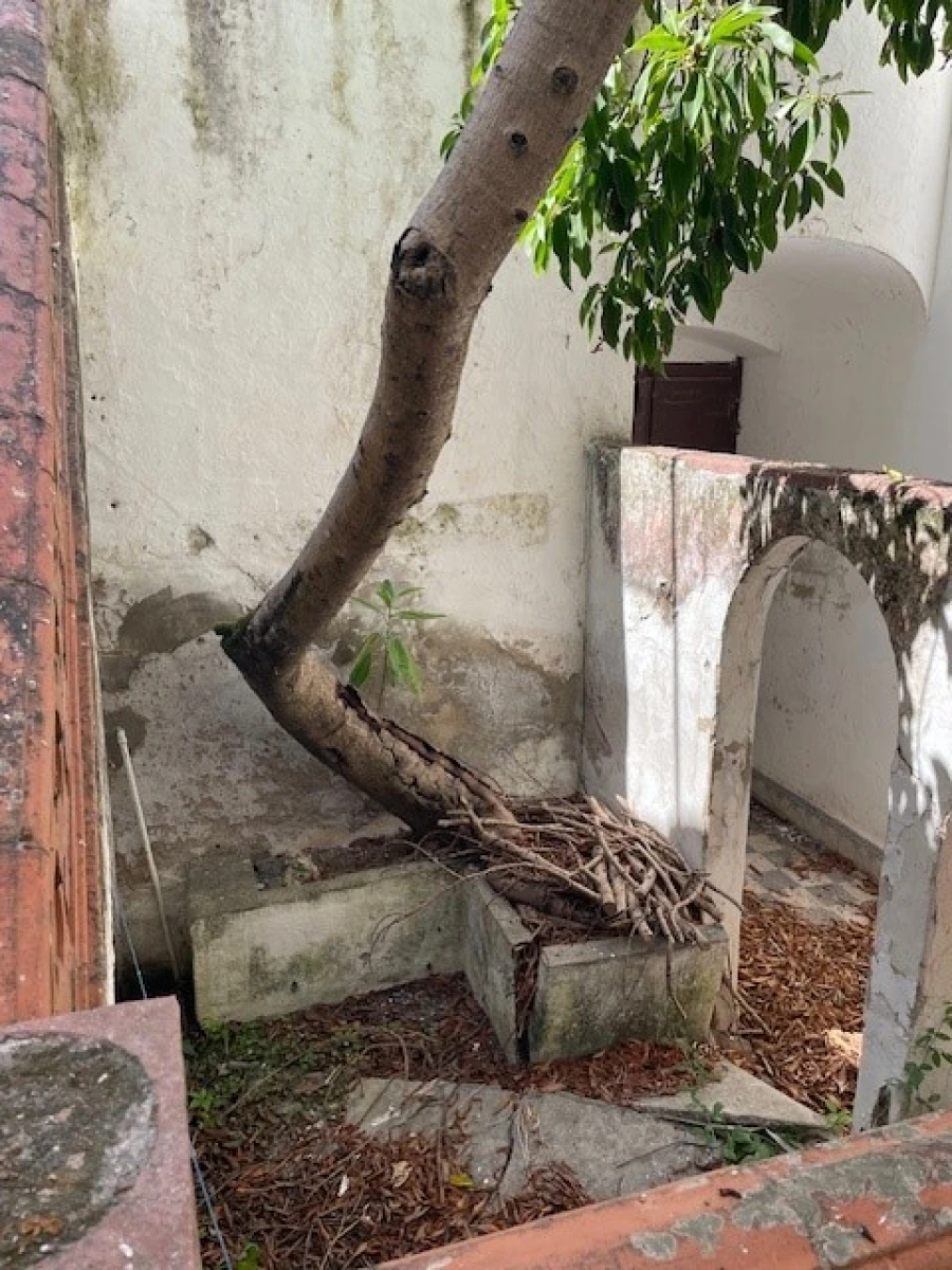 Moradia para Venda em Avis Foto 16