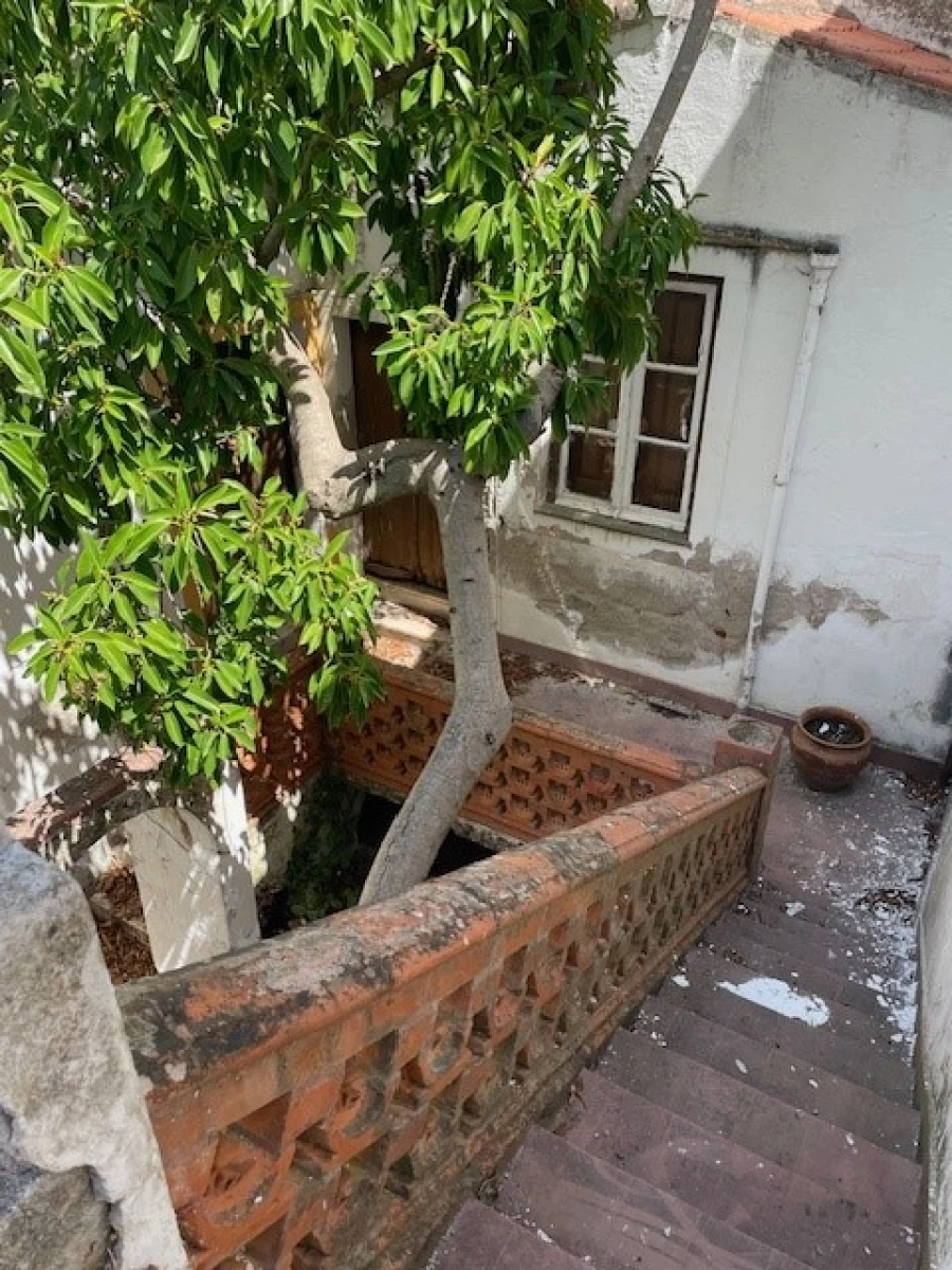 Moradia para Venda em Avis Foto 21