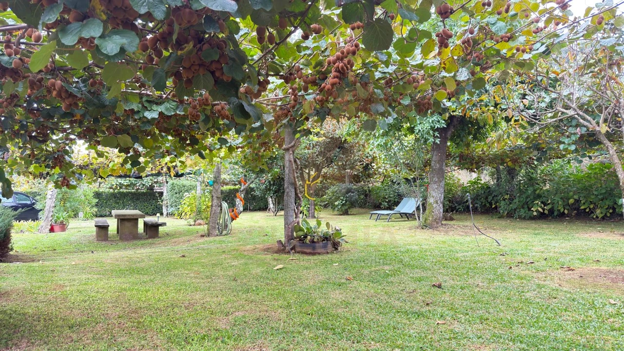 Moradia T2 para Venda em Ardegão, Freixo e Mato Foto 23