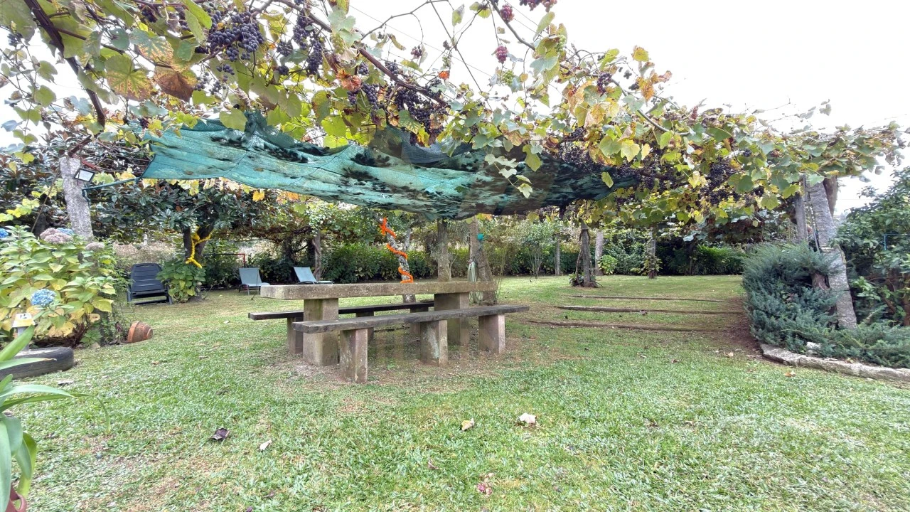 Moradia T2 para Venda em Ardegão, Freixo e Mato Foto 25