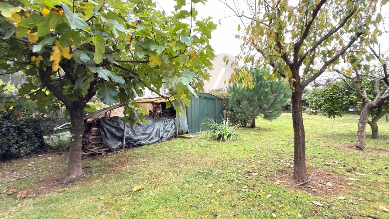 Moradia T2 para Venda em Ardegão, Freixo e Mato Foto 27