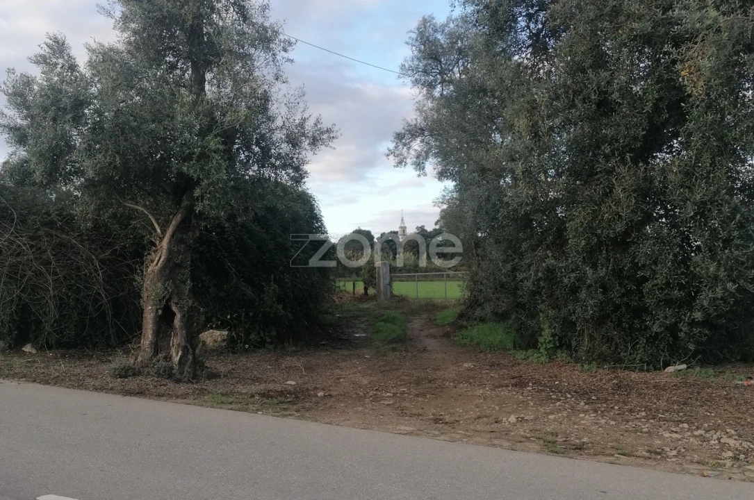 Terreno para Venda em Nine Foto 5