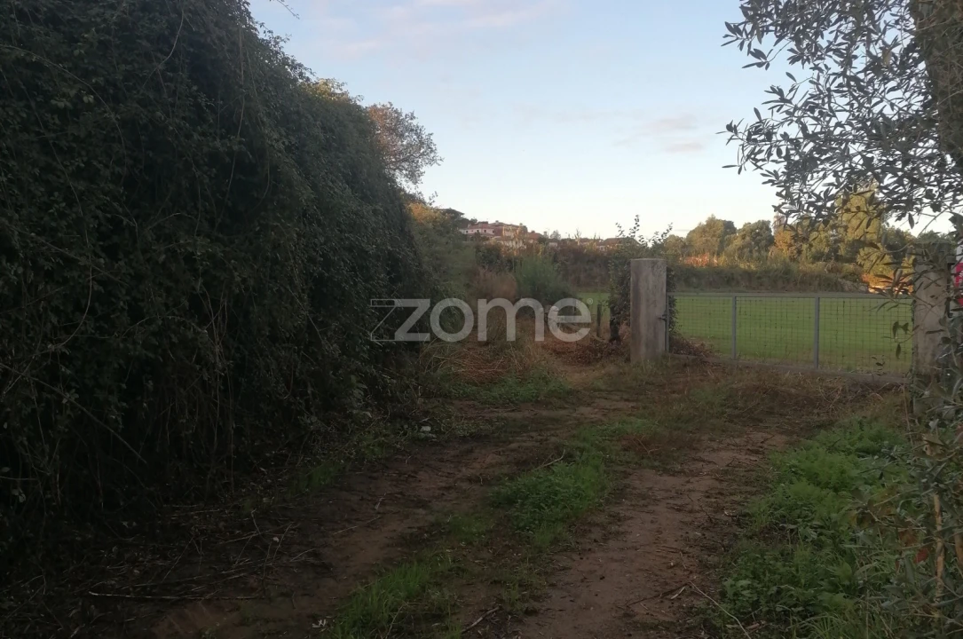 Terreno para Venda em Nine Foto 11