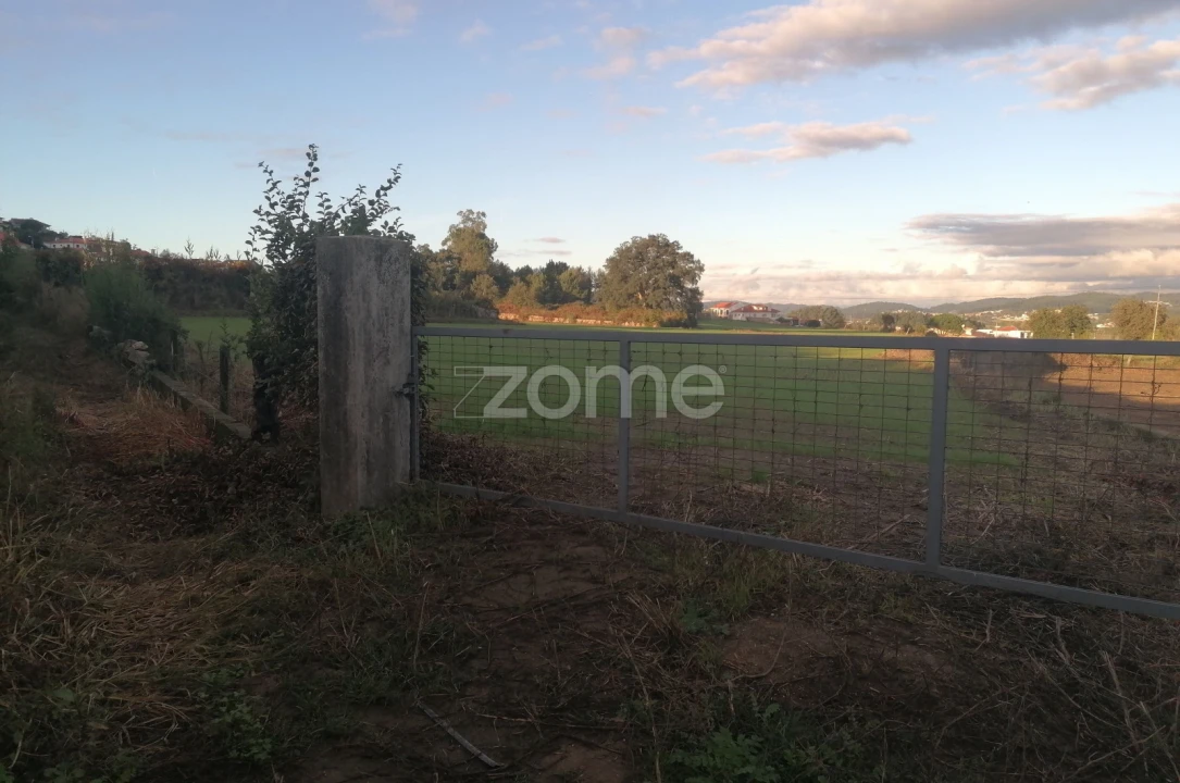 Terreno para Venda em Nine Foto 3