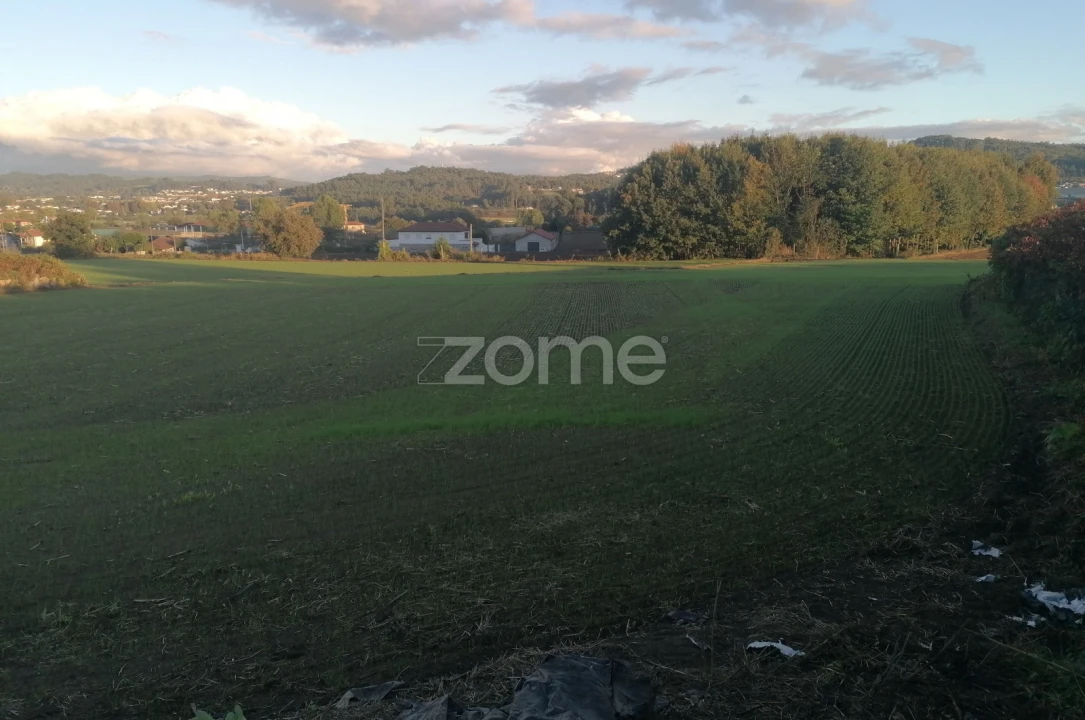 Terreno para Venda em Nine Foto 7