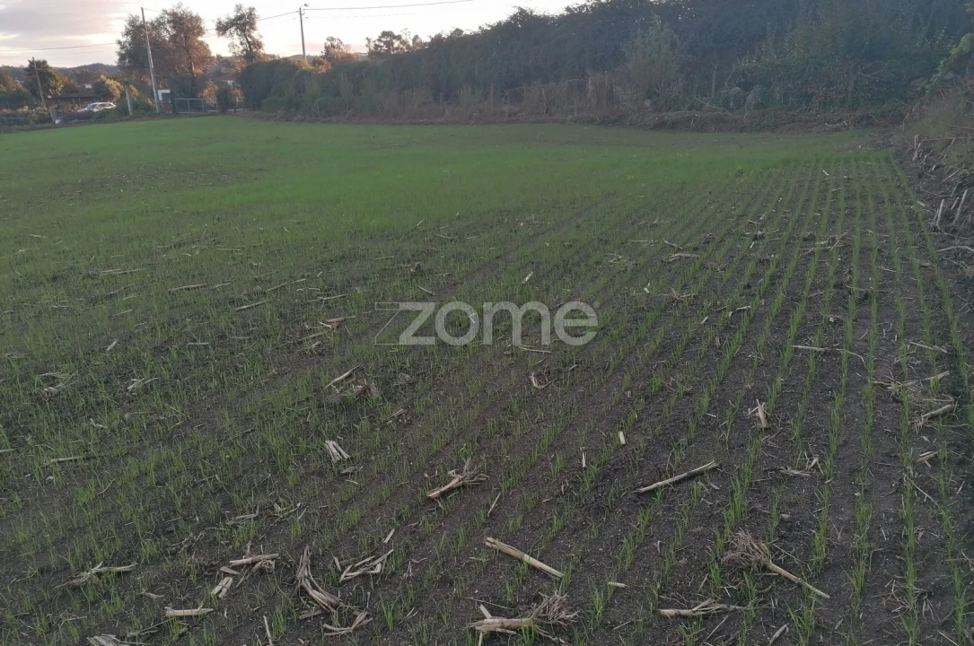 Terreno para Venda em Nine Foto 4