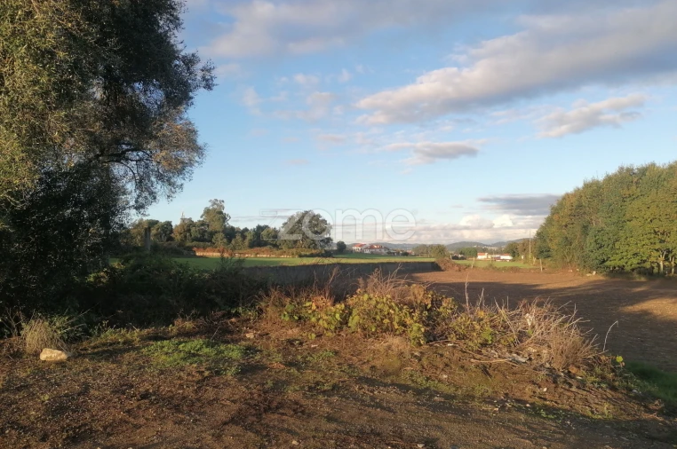 Terreno para Venda em Nine