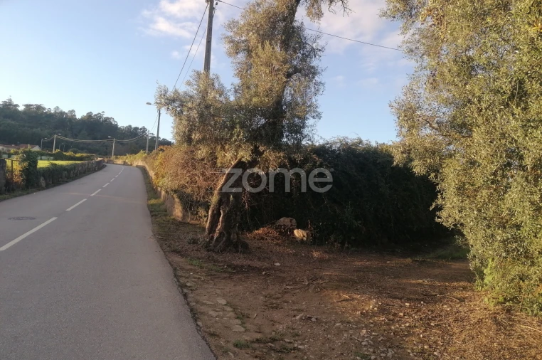 Terreno para Venda em Nine Foto 2