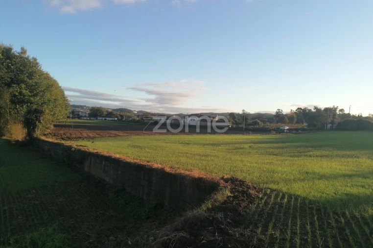 Terreno para Venda em Nine Foto 6