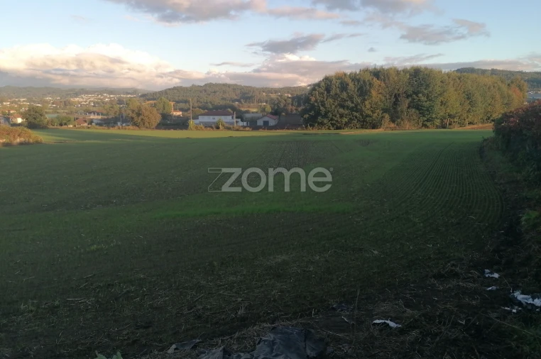 Terreno para Venda em Nine Foto 7