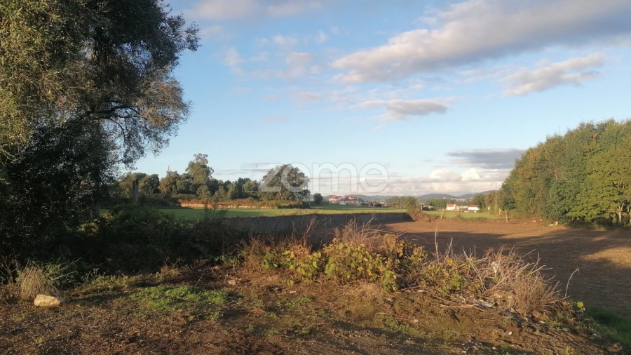 Terreno para Venda em Nine