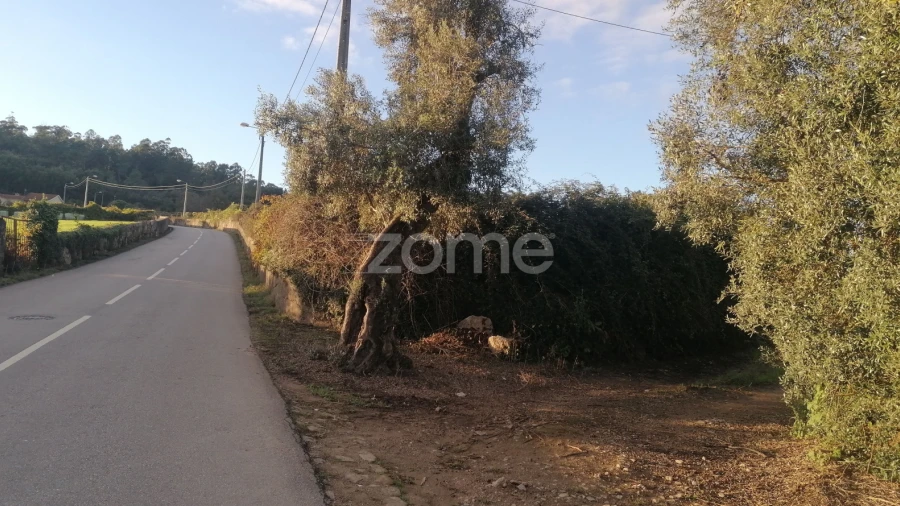 Terreno para Venda em Nine
