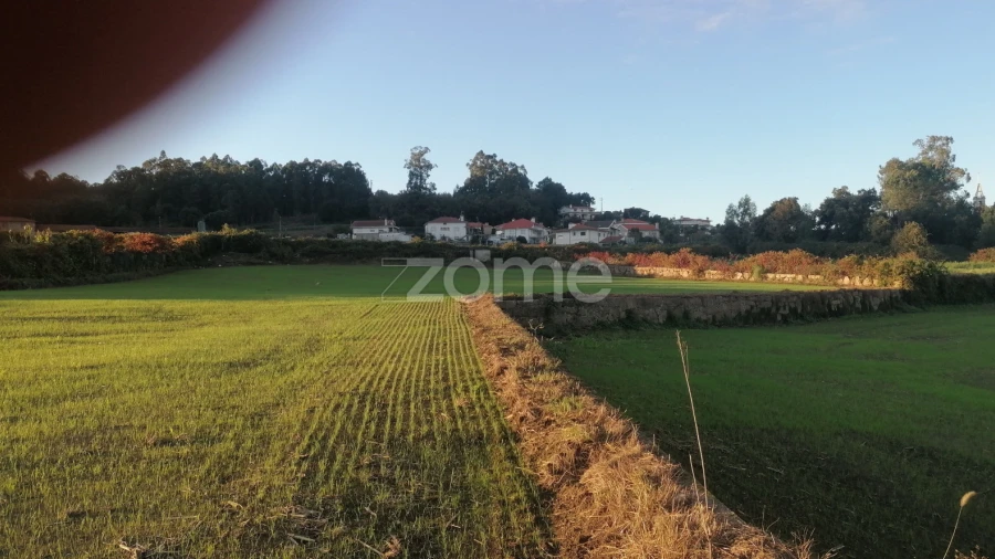 Terreno para Venda em Nine