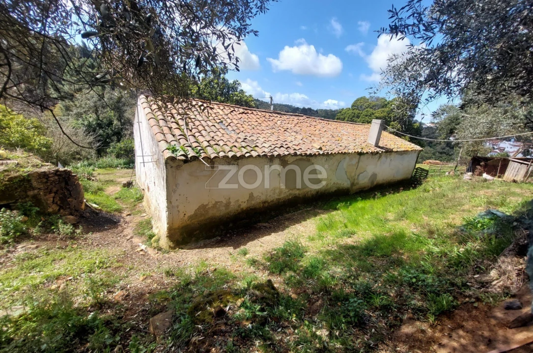 Quinta T4 para Venda em São Teotónio Foto 8