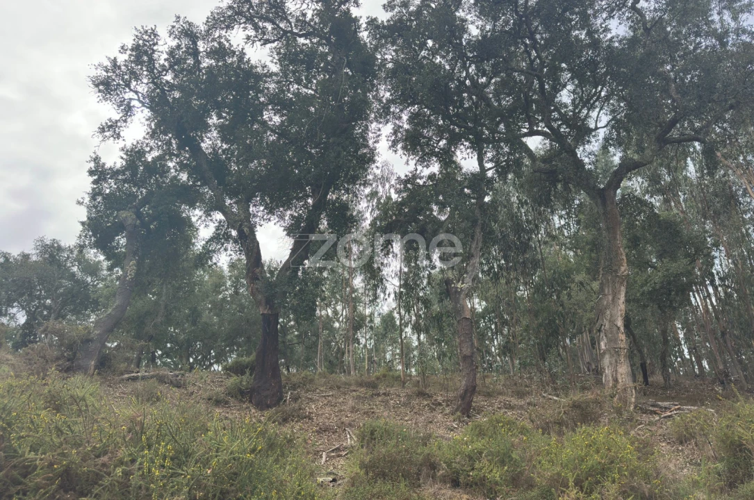 Quinta T4 para Venda em São Teotónio Foto 11