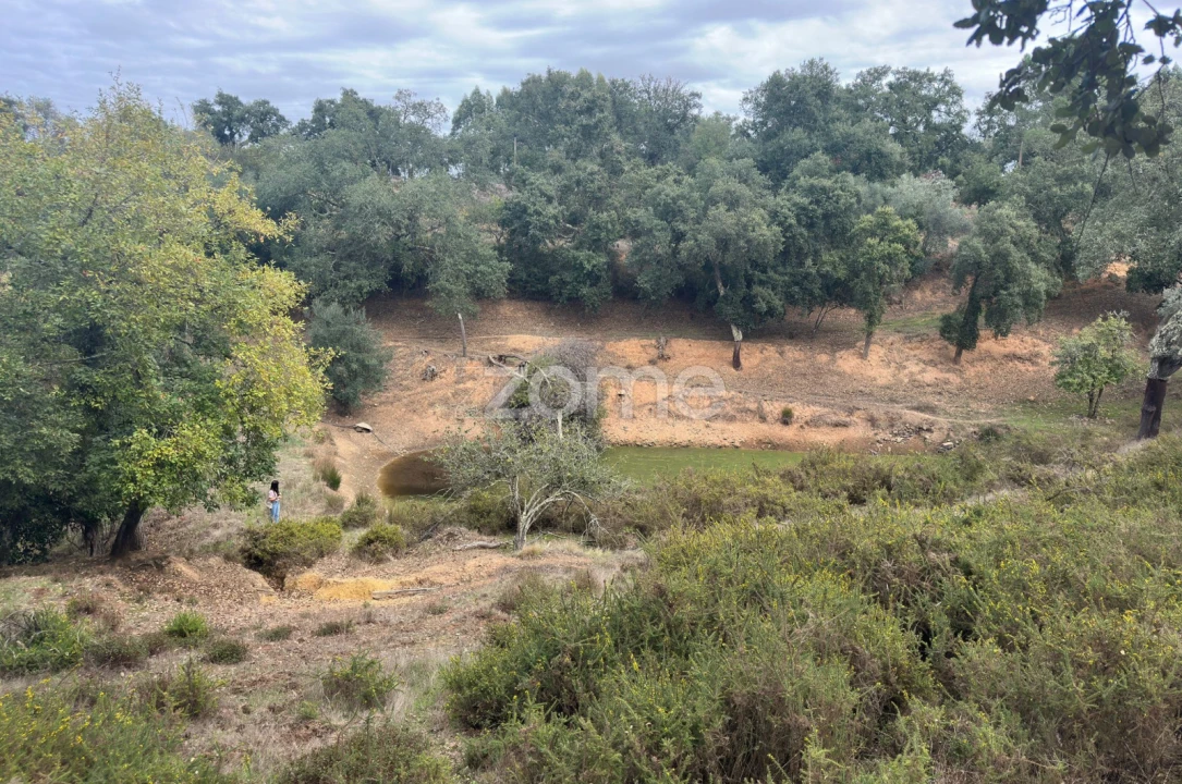 Quinta T4 para Venda em São Teotónio Foto 1