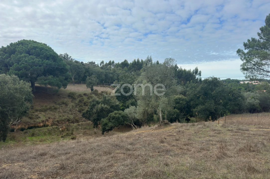 Quinta T4 para Venda em São Teotónio Foto 12