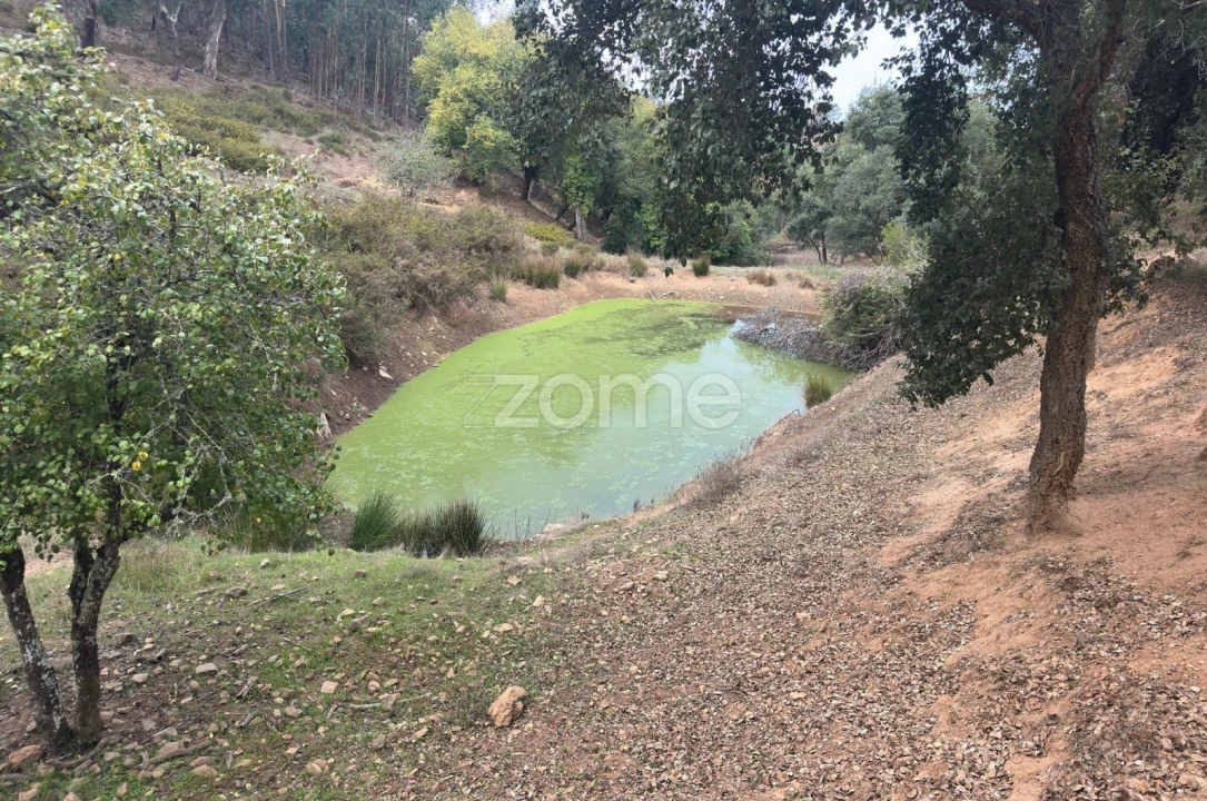 Quinta T4 para Venda em São Teotónio Foto 14