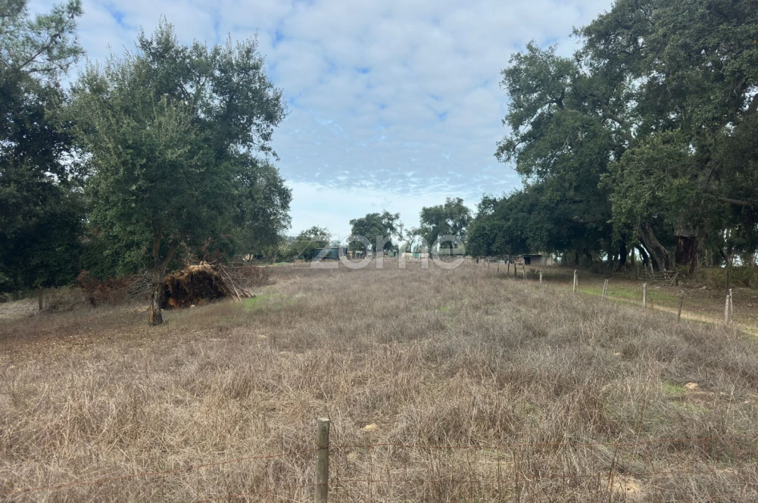 Quinta T4 para Venda em São Teotónio Foto 15