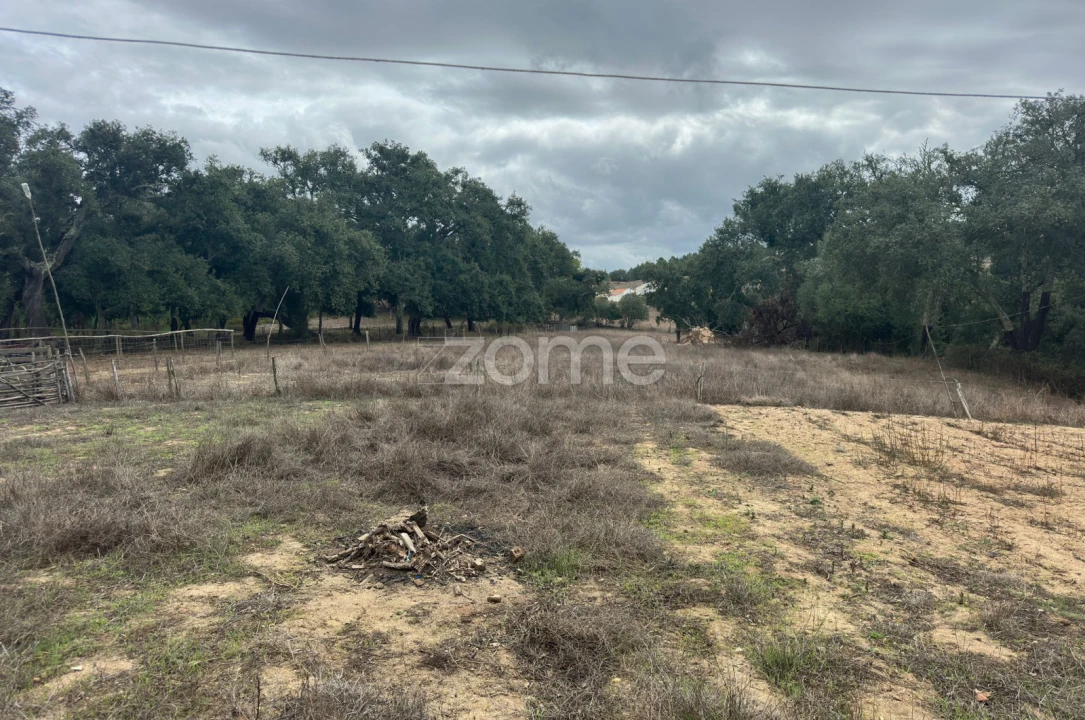 Quinta T4 para Venda em São Teotónio Foto 17