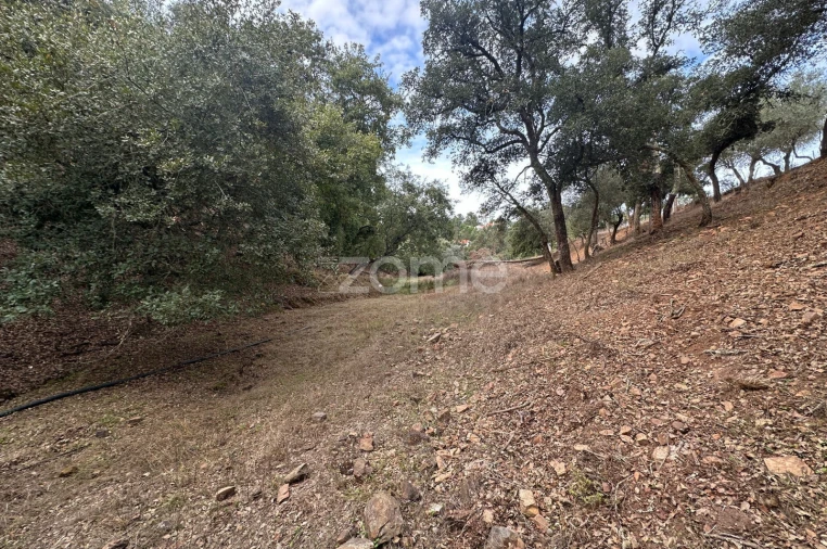 Quinta T4 para Venda em São Teotónio Foto 10