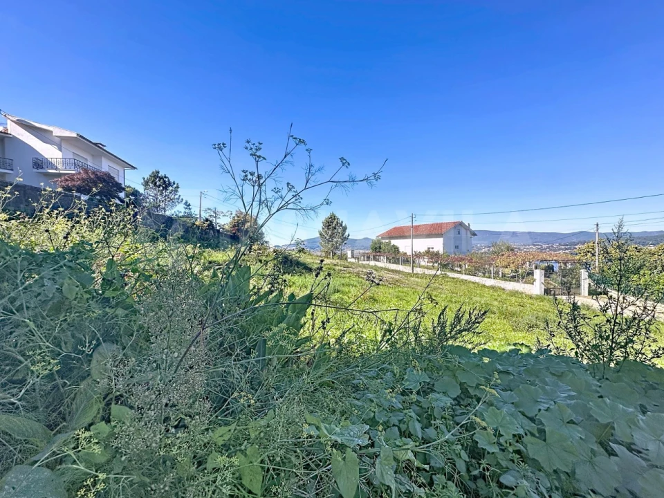 Terreno para Venda em Seixas Foto 8