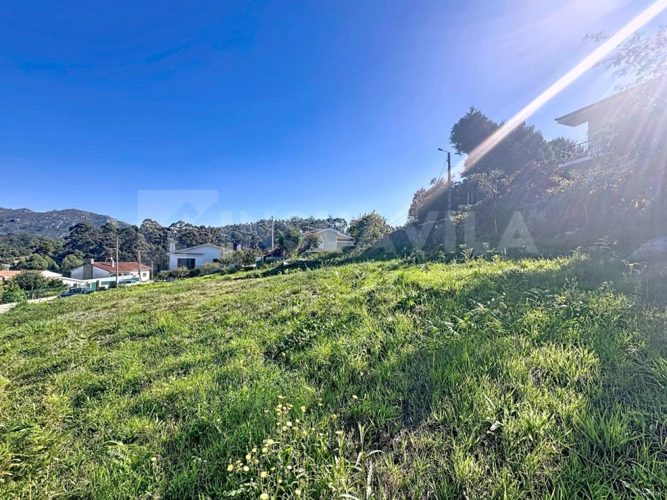 Terreno para Venda em Seixas Foto 14
