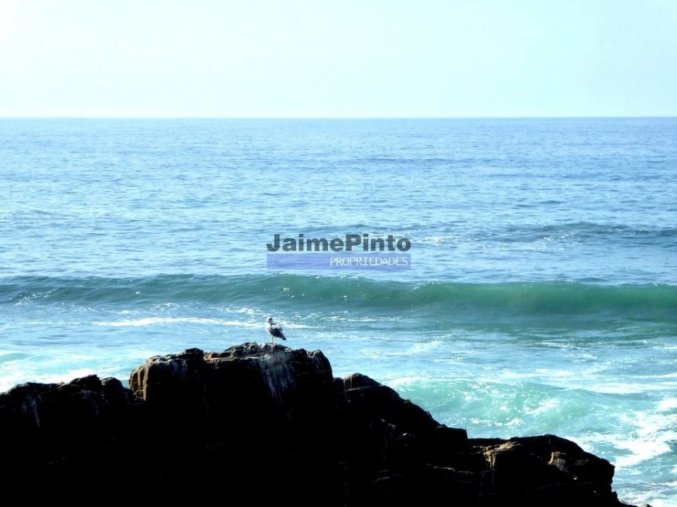 Negócio para Venda em Lagoa e Carvoeiro Foto 8