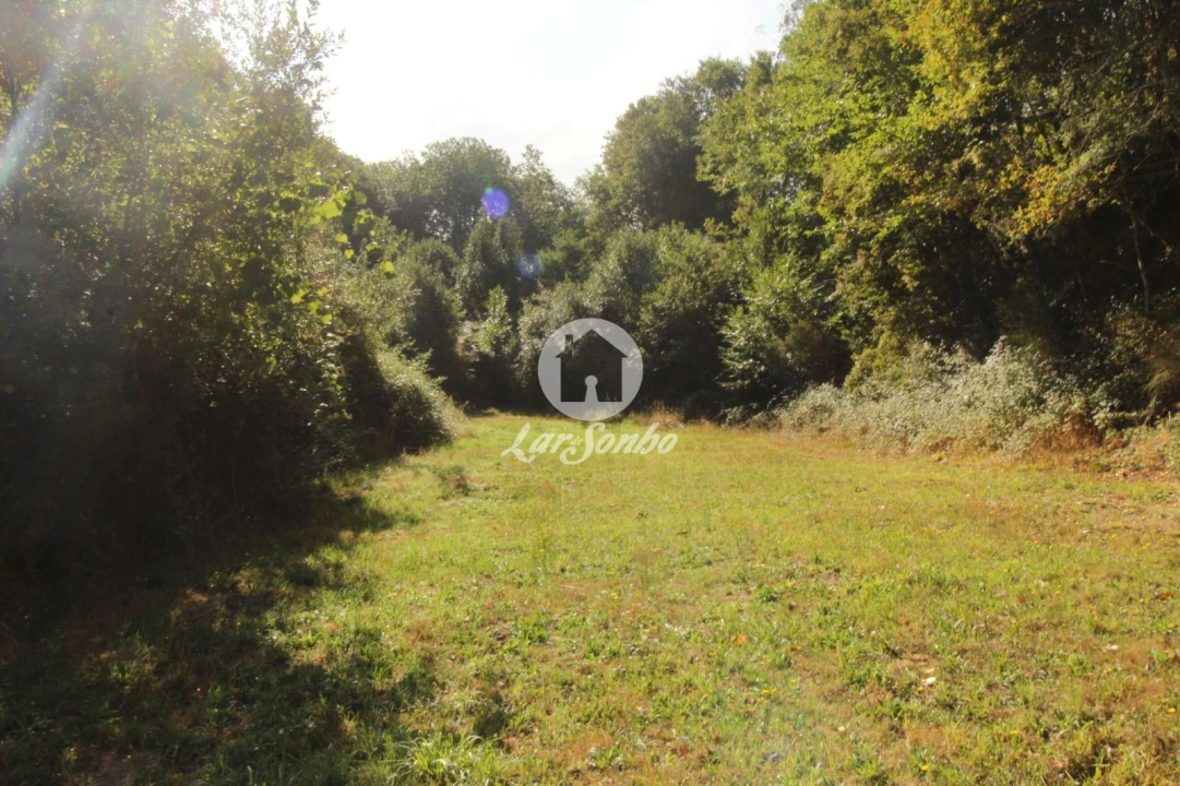 Terreno Agricola ou Rústico para Venda em Monte e Queimadela Foto 5