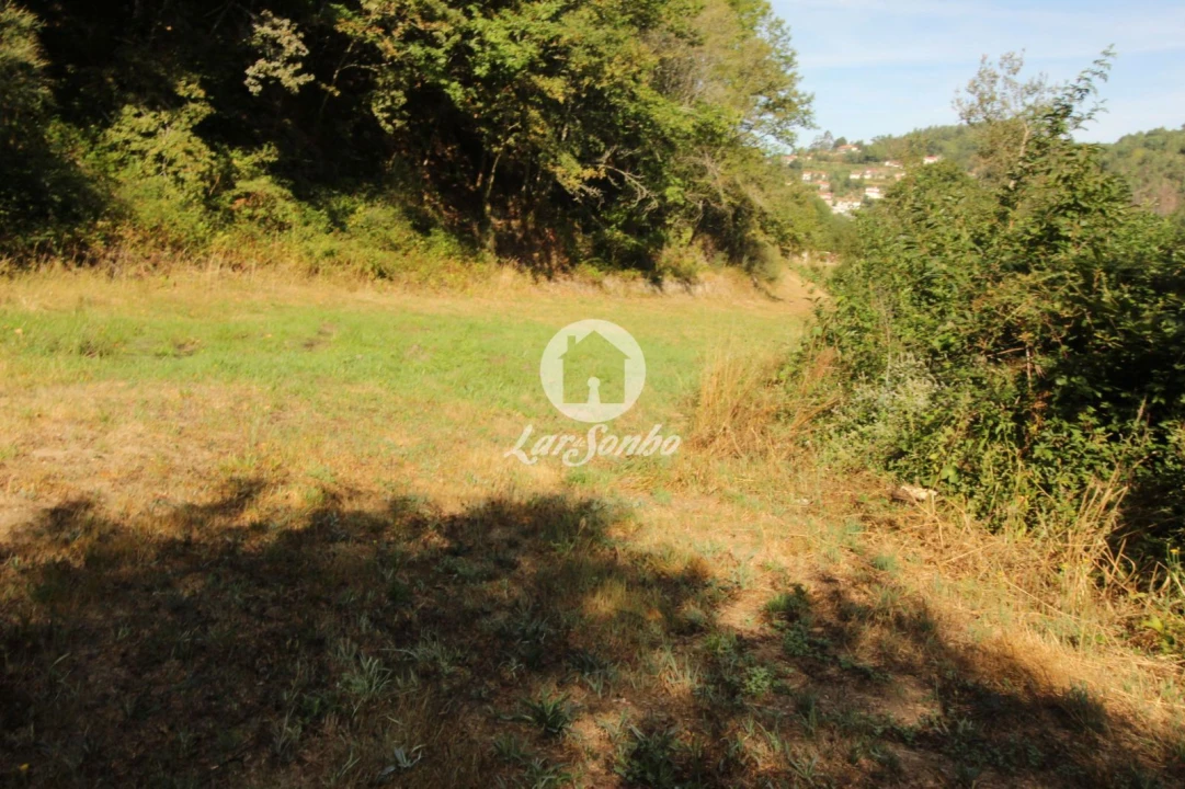 Terreno Agricola ou Rústico para Venda em Monte e Queimadela Foto 6