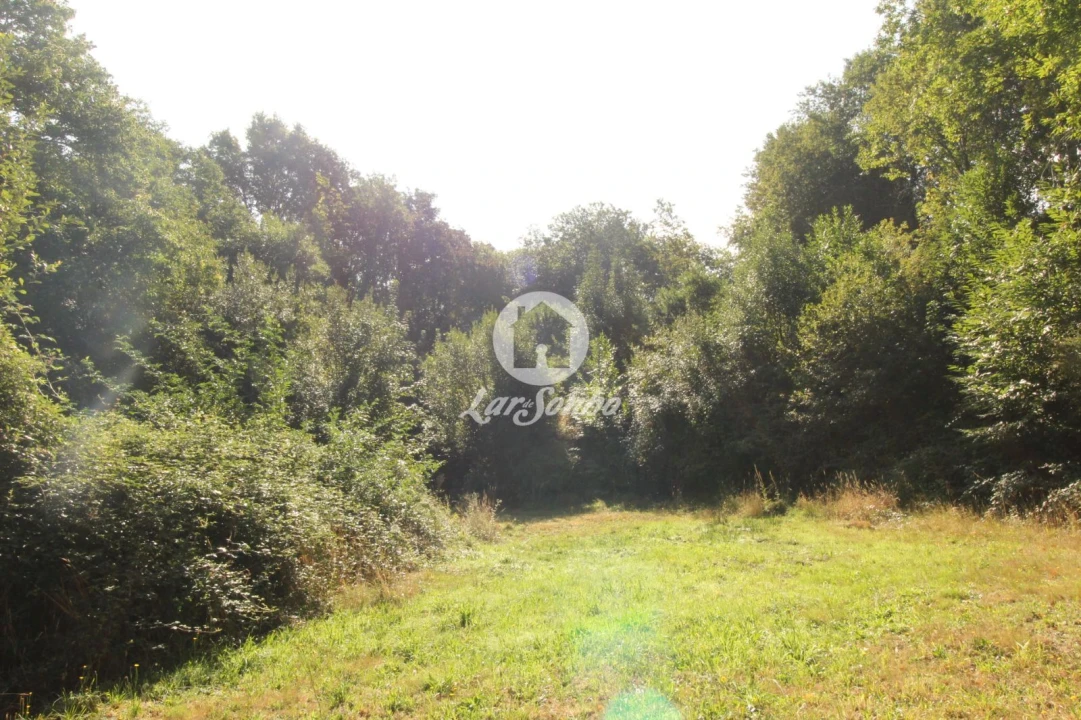 Terreno Agricola ou Rústico para Venda em Monte e Queimadela Foto 8