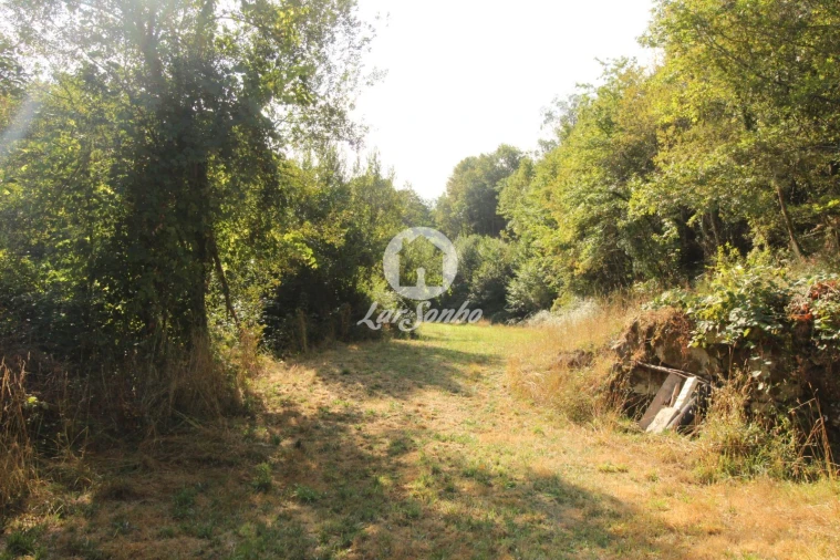 Terreno Agricola ou Rústico para Venda em Monte e Queimadela Foto 2