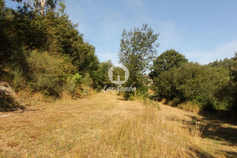 Terreno Agricola ou Rústico para Venda em Monte e Queimadela Foto 4
