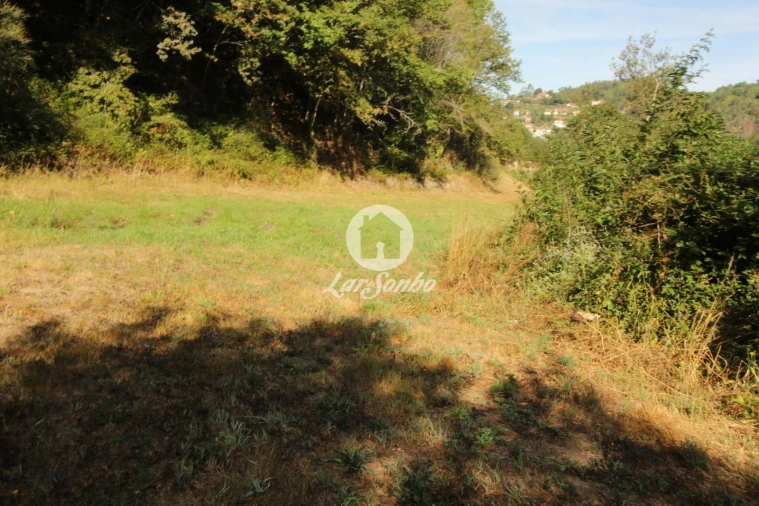 Terreno Agricola ou Rústico para Venda em Monte e Queimadela Foto 6