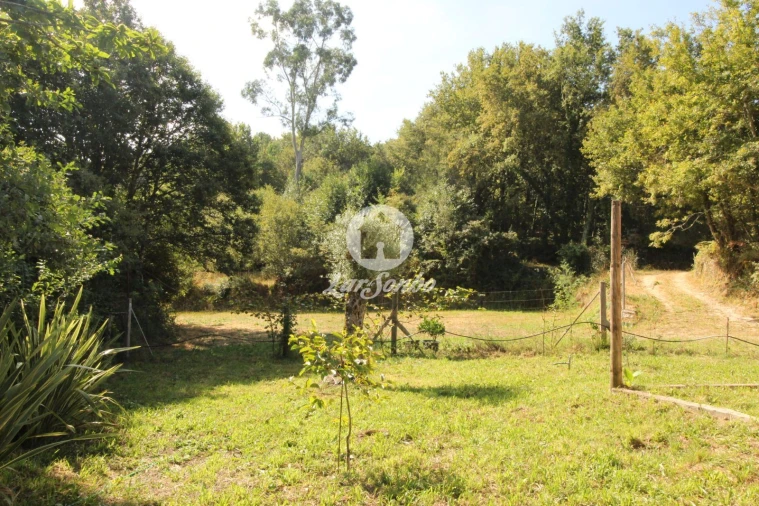 Terreno Agricola ou Rústico para Venda em Monte e Queimadela Foto 17