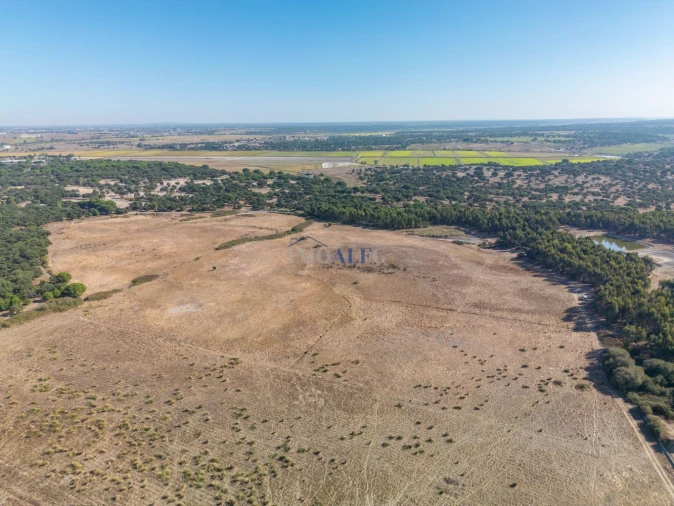 Terreno para Venda em Benavente Foto 10