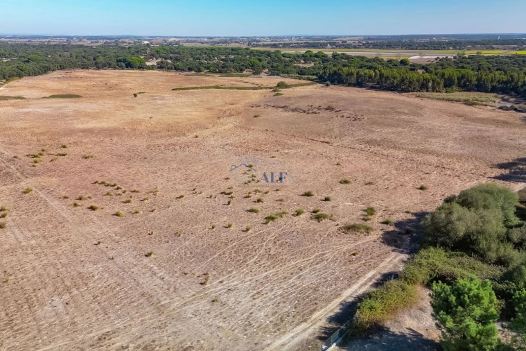Terreno para Venda em Benavente Foto 12